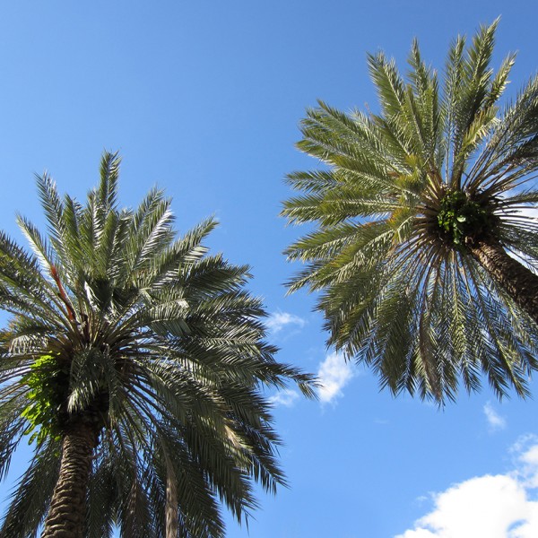 Win a winter sun escape with alpharooms.com